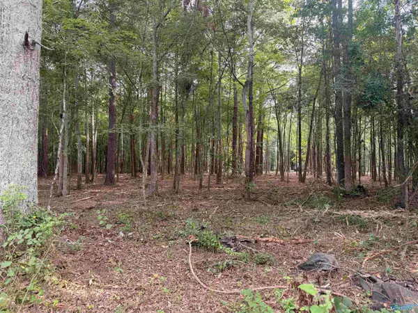 Lot 35 Shorts Inlet, Centre, AL 35960