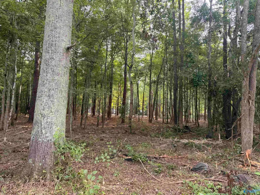 Lot 35 Shorts Inlet, Centre, AL 35960 - #2