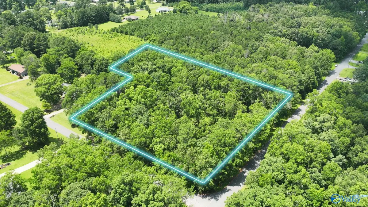TBD Wilcox Street Se, Attalla, AL 35954 - #1