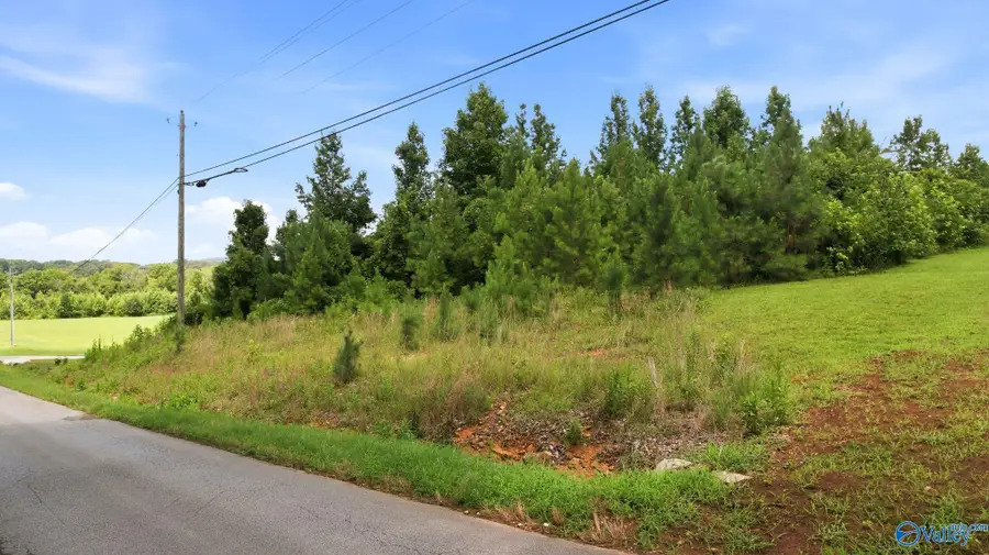 Lot 5 Sharps Cove Road, Gurley, AL 35748 - #3