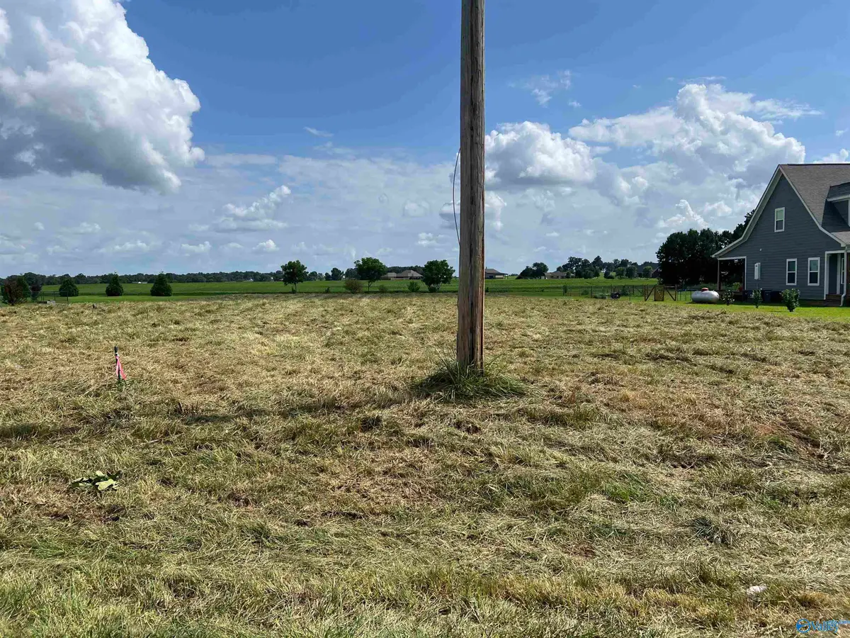 10074 Snake Road, Athens, AL 35611 - #1