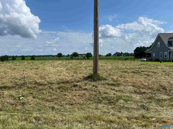 10074 Snake Road, Athens, AL 35611