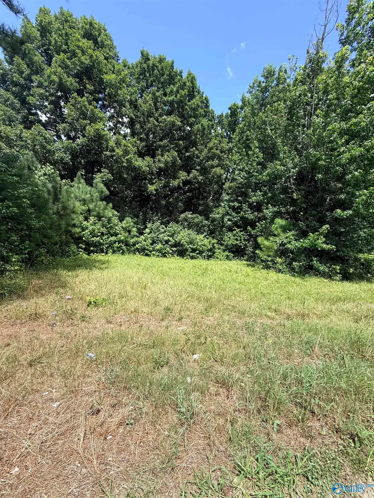 1 A County Road 4, Boaz, AL 35957 - #1
