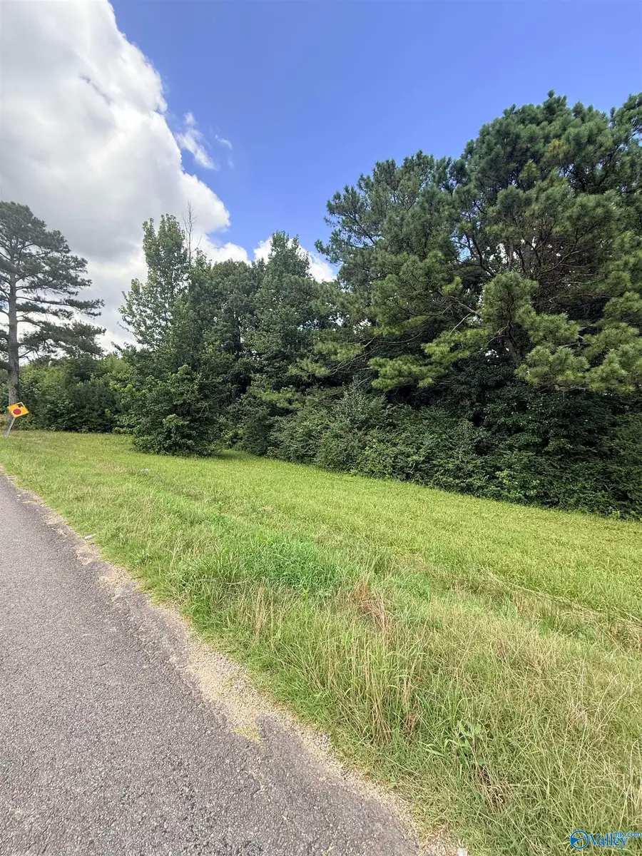 1 A County Road 4, Boaz, AL 35957 - #3