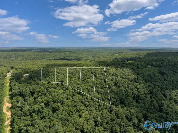 LOT 5 County Road 89, Mentone, AL 35984