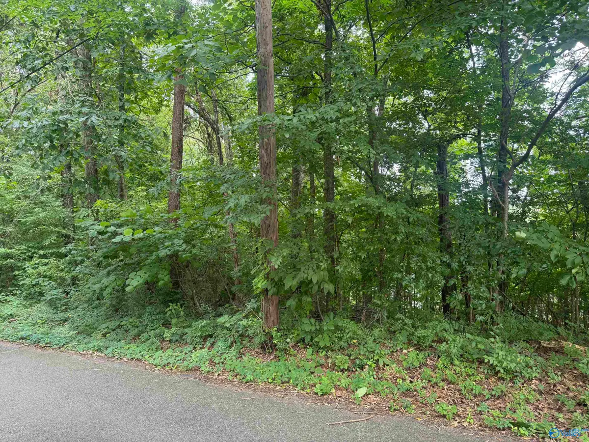 Lots 3-5 Halsey Street, Gadsden, AL 35901 - #1