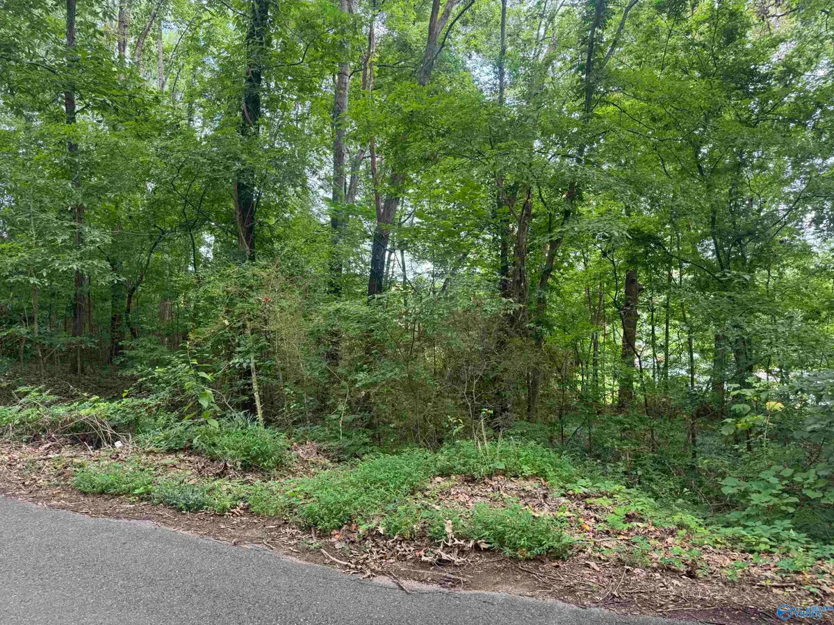 Lots 6-9 Halsey Street, Gadsden, AL 35901 - #1