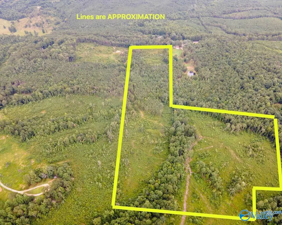 56 Acres Highway 13, Lynn, AL 35575 - #2