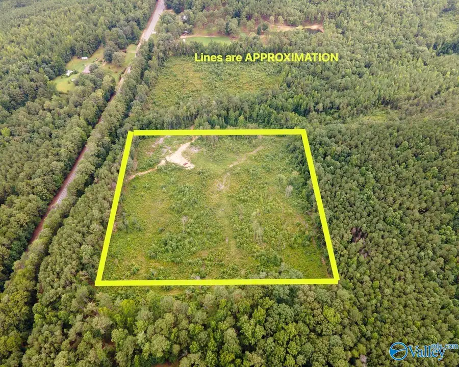 10 Acres Highway 13, Lynn, AL 35575 - #2