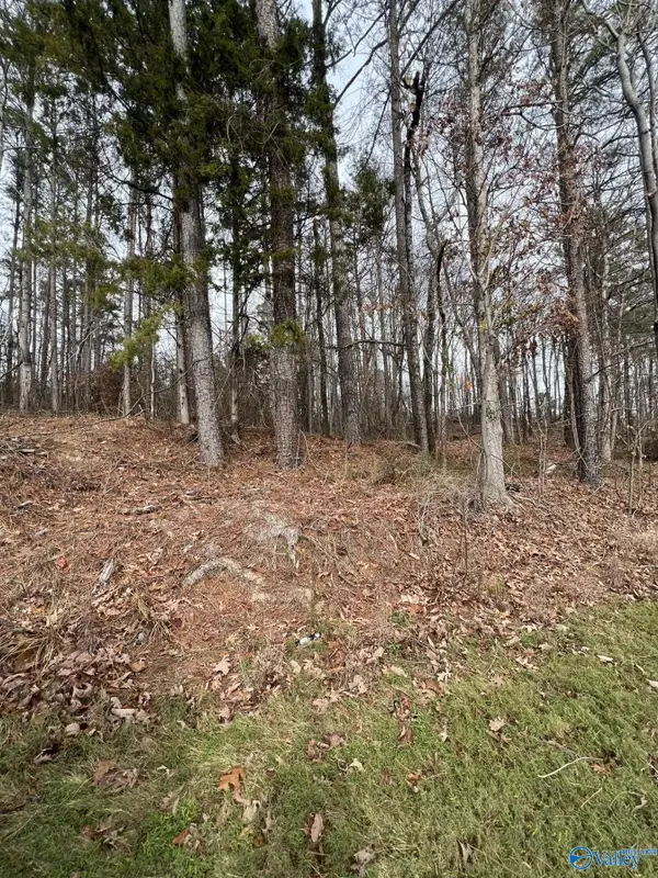 5627 Alabama Highway 227, Guntersville, AL 35976