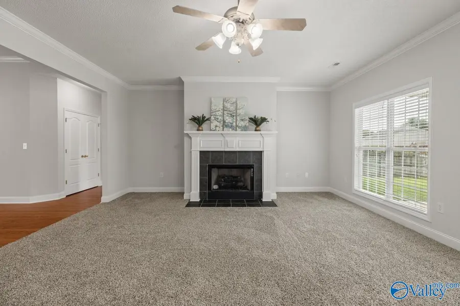 705 Wade Road, Owens Cross Roads, AL 35763 - #3
