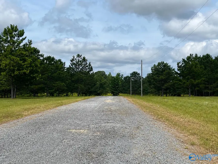 Lot 7 Rachel Lane, Centre, AL 35960 - #3