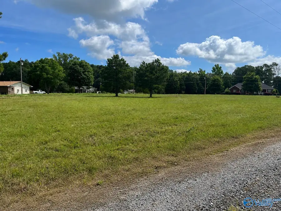 Lot 3 Rachel Lane, Centre, AL 35960 - #2