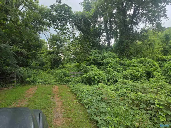 26 acres Gum Springs Road, Hartselle, AL 35640
