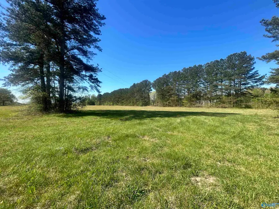 11.22 Brock Road, Ardmore, AL 35739 - #2