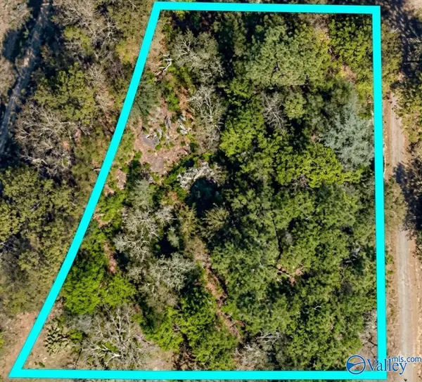 1.5 acres 6th Street, Hayden, AL 35079