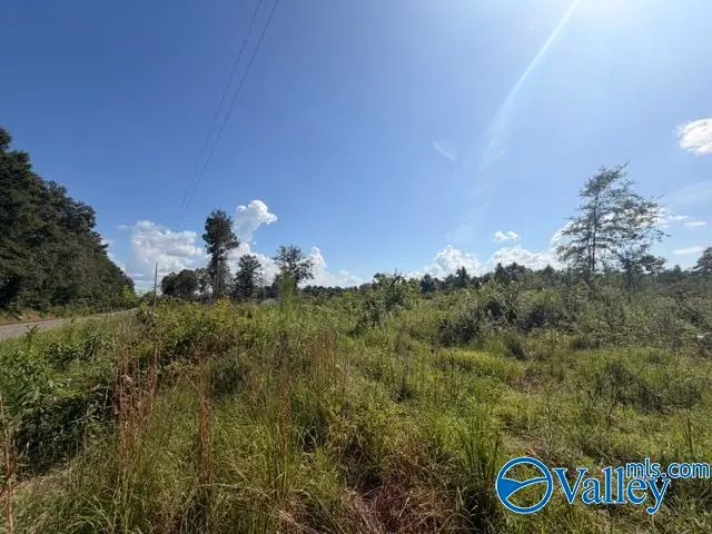 7495 County Road 113, Centre, AL 35960 - #1