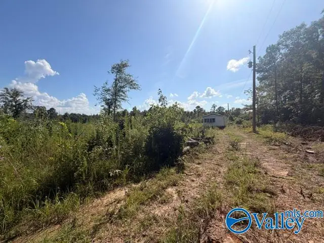 7495 County Road 113, Centre, AL 35960 - #3