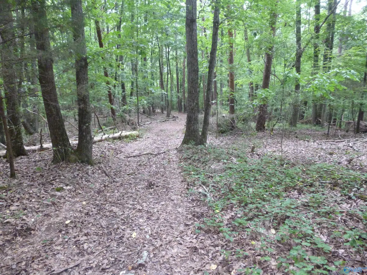 500 20th Street Sw, Fort Payne, AL 35967 - #1