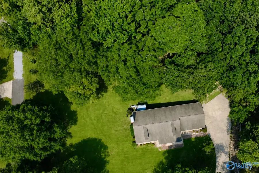 424 Shamrock Lane, Piedmont, AL 36272 - #3