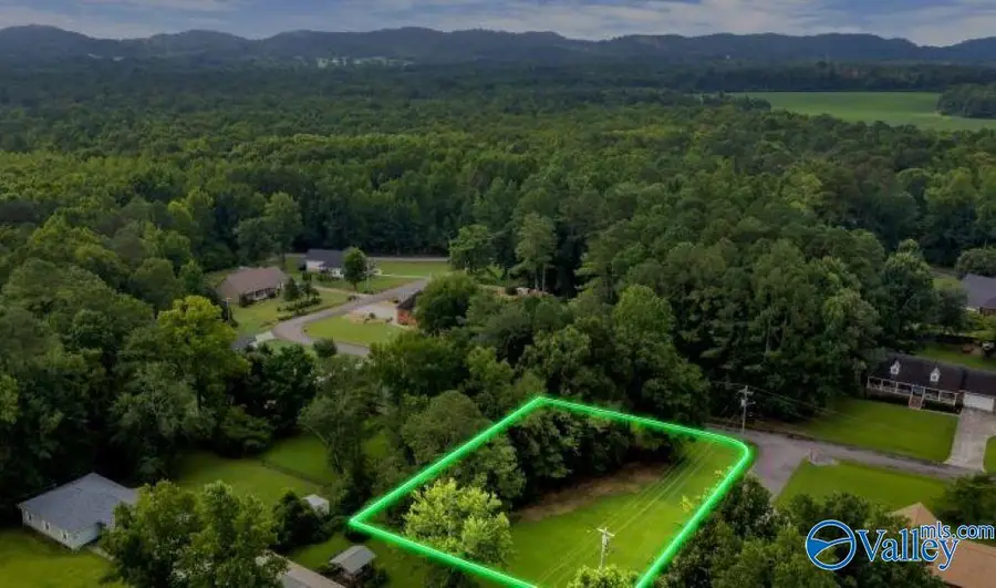10 Crestview Drive, Scottsboro, AL 35769 - #3