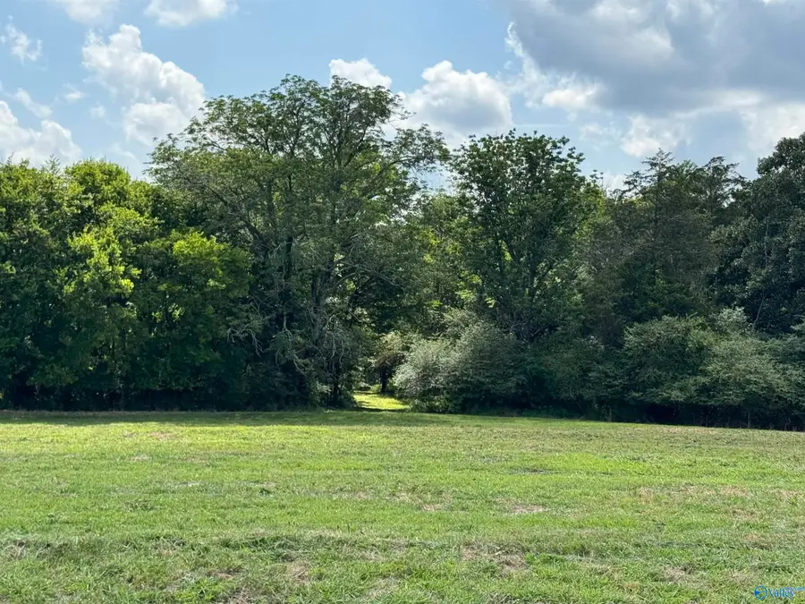 42.9 Paramount Drive, Grant, AL 35747 - #3