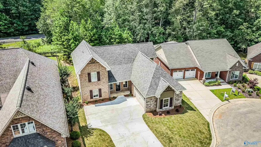 113 Turning Leaf Drive, Union Grove, AL 35175 - #3