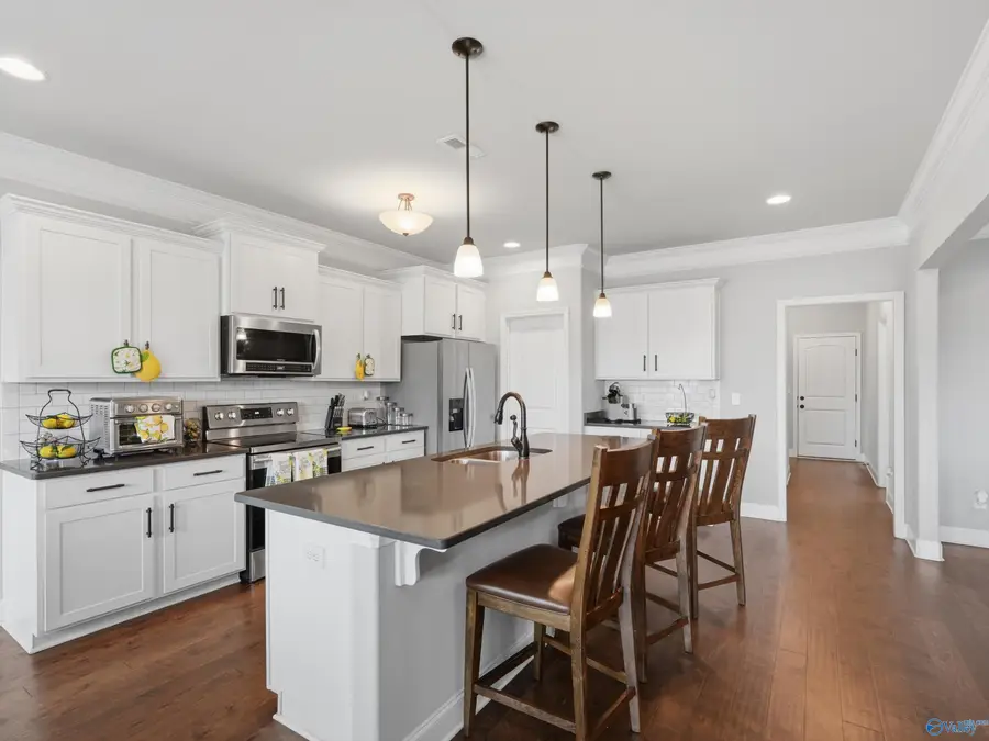106 Ivy Vine Drive, Toney, AL 35773 - #3