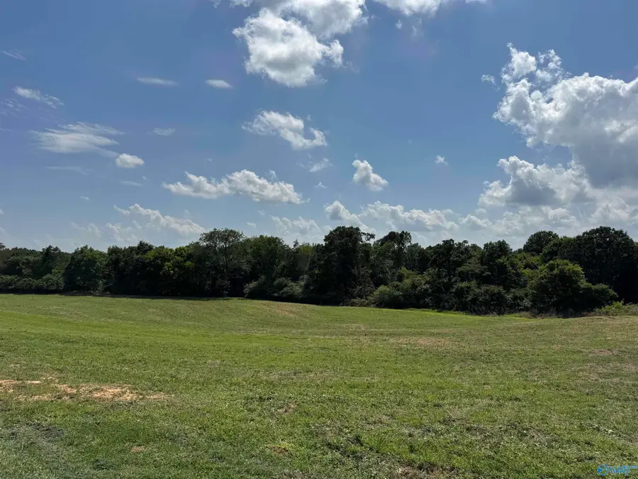 24.9 Paramount Drive, Grant, AL 35747 - #2