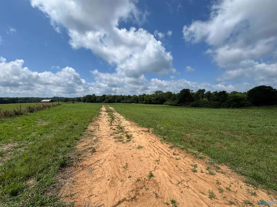 24.9 Paramount Drive, Grant, AL 35747 - #3