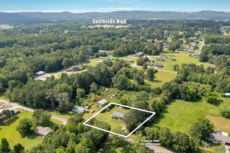 2702 Sunset Drive, Southside, AL 35907 - #3