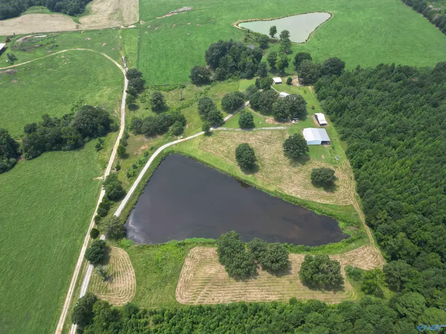 315 County Road 250, Moulton, AL 35650 - #2