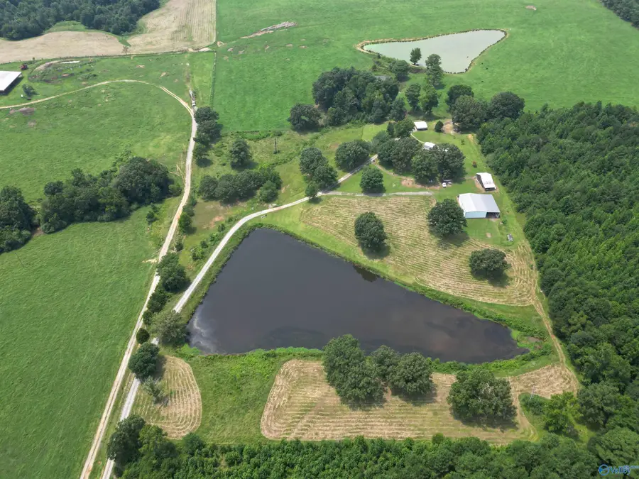 315 County Road 250, Moulton, AL 35650 - #3