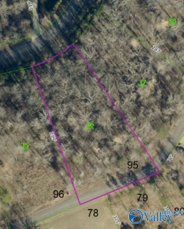 384 Monte Sano Drive, Scottsboro, AL 35769 - #1