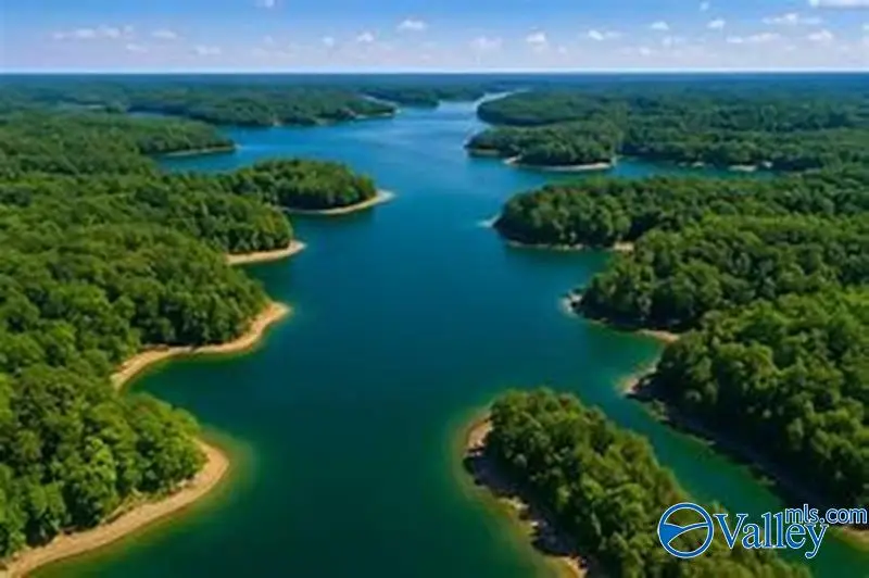 41 Acres Big Bear Branch Road, Double Springs, AL 35553 - #1