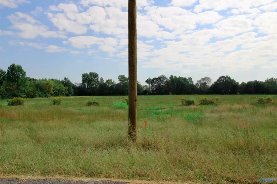 17228 Red Hill Road, Athens, AL 35611 - #2