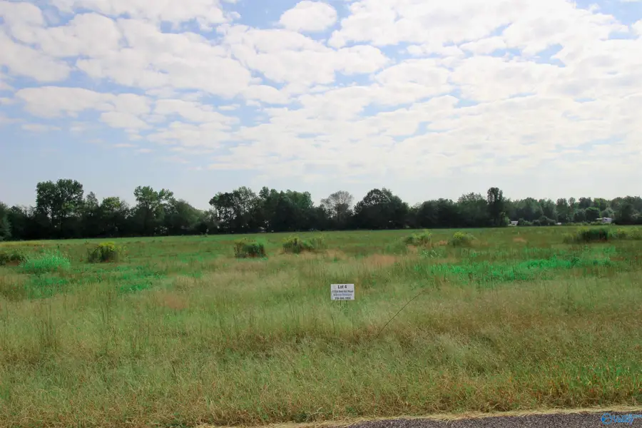 17228 Red Hill Road, Athens, AL 35611 - #3