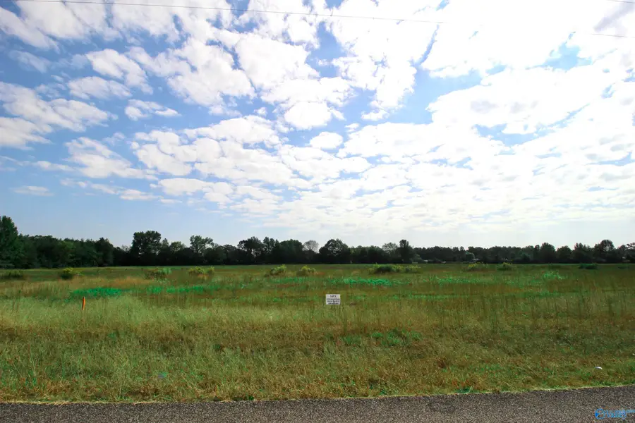 17216 Red Hill Road, Athens, AL 35611 - #3