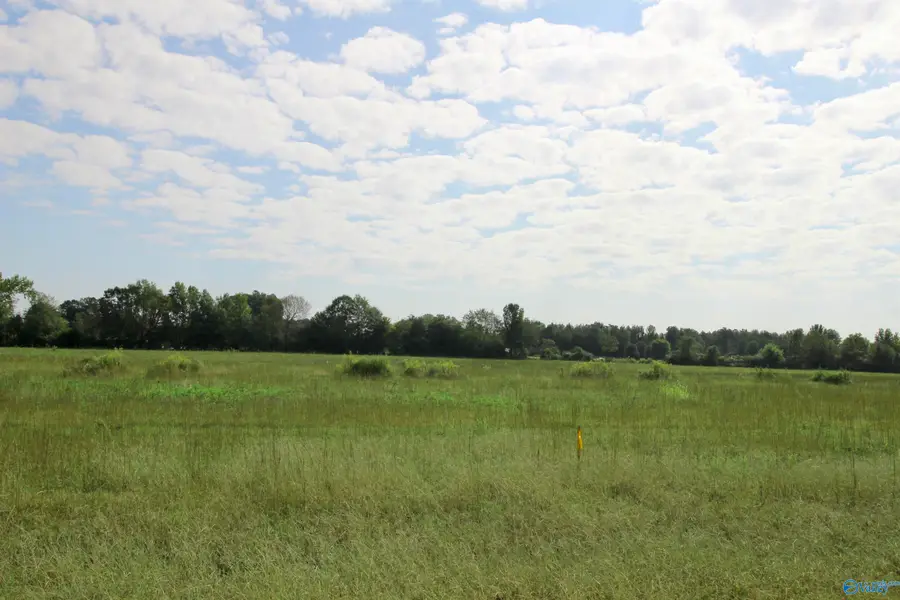 17170 Red Hill Road, Athens, AL 35611 - #3