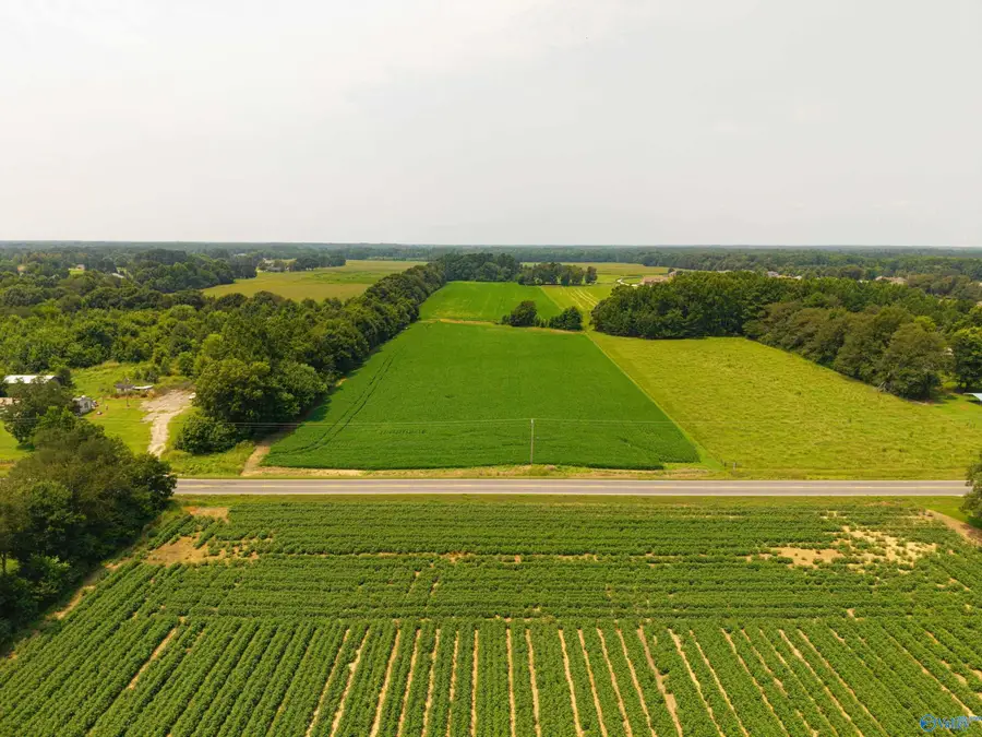 20 acres Alabama Highway 251, Toney, AL 35773 - #2