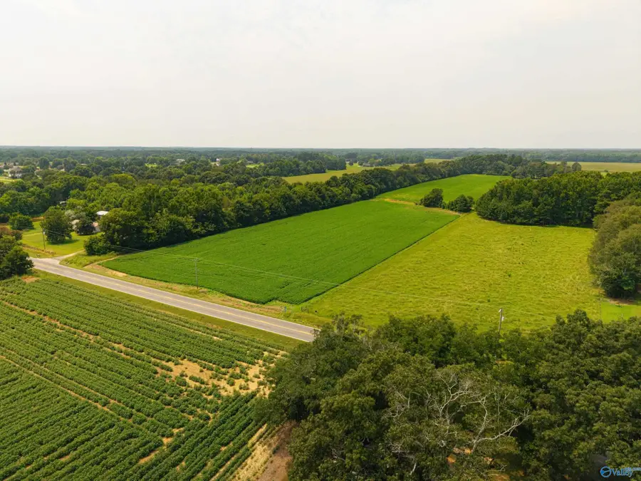 20 acres Alabama Highway 251, Toney, AL 35773 - #3