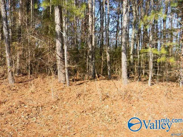 18.52 Acres County Road 41, Gaylesville, AL 35973 - #1
