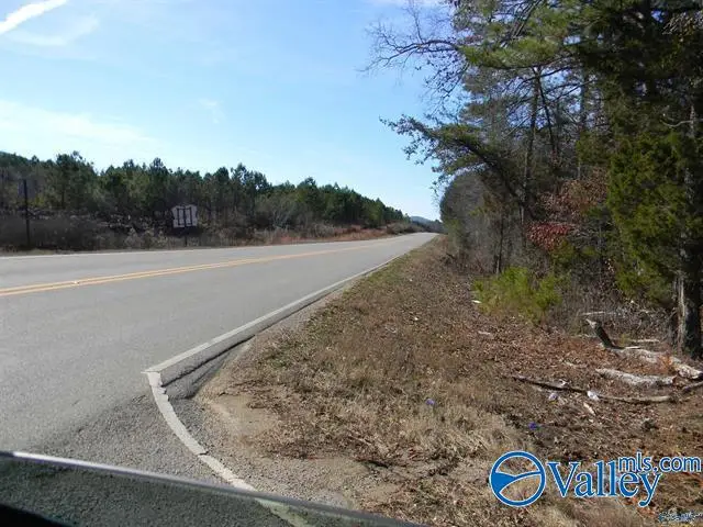 18.52 Acres County Road 41, Gaylesville, AL 35973 - #2