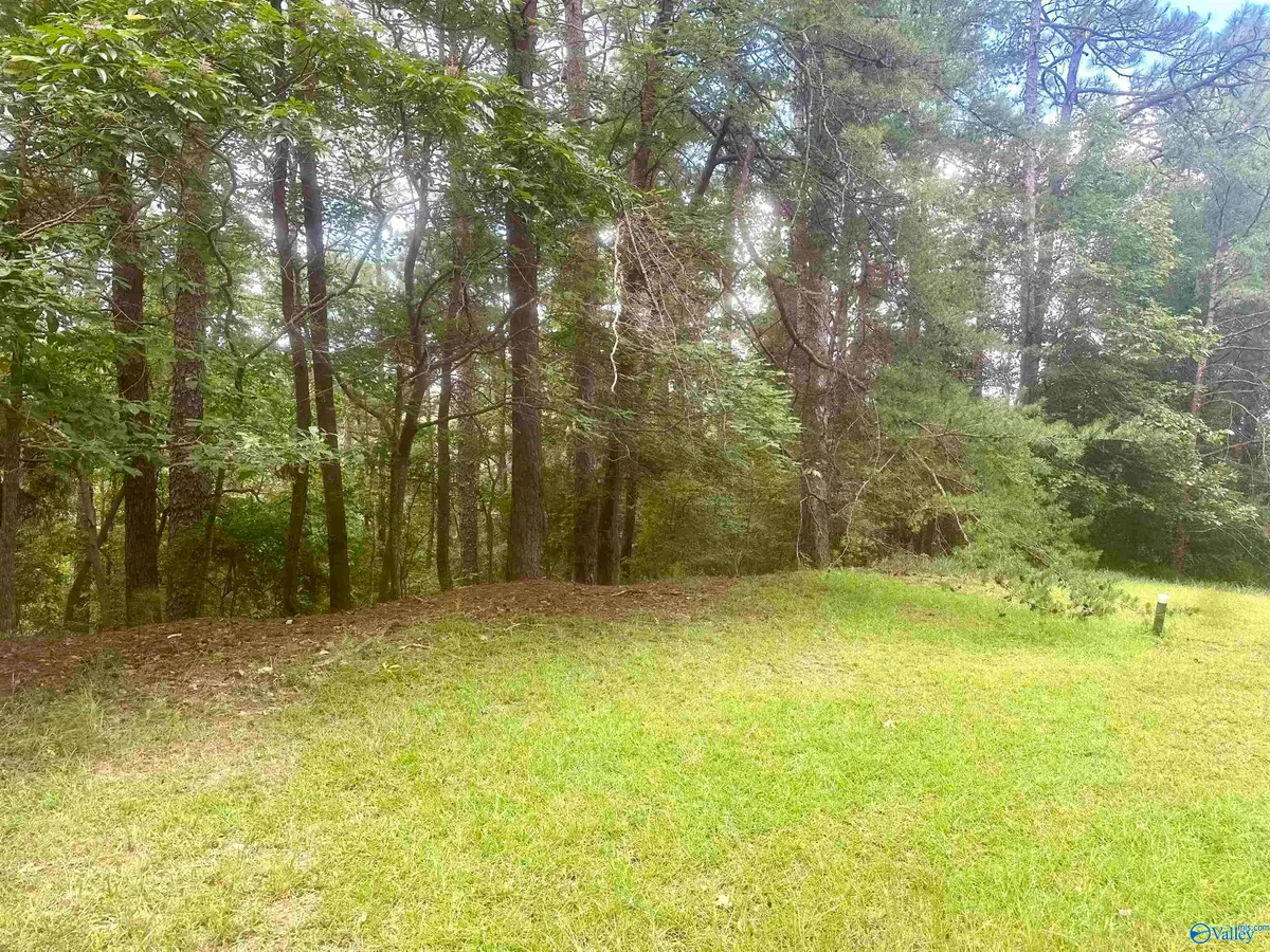 7909 Harbor Avenue Ne, Tuscaloosa, AL 35406 - #1