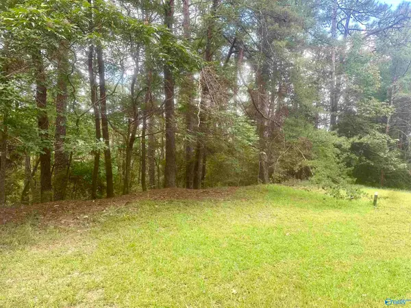7909 Harbor Avenue Ne, Tuscaloosa, AL 35406