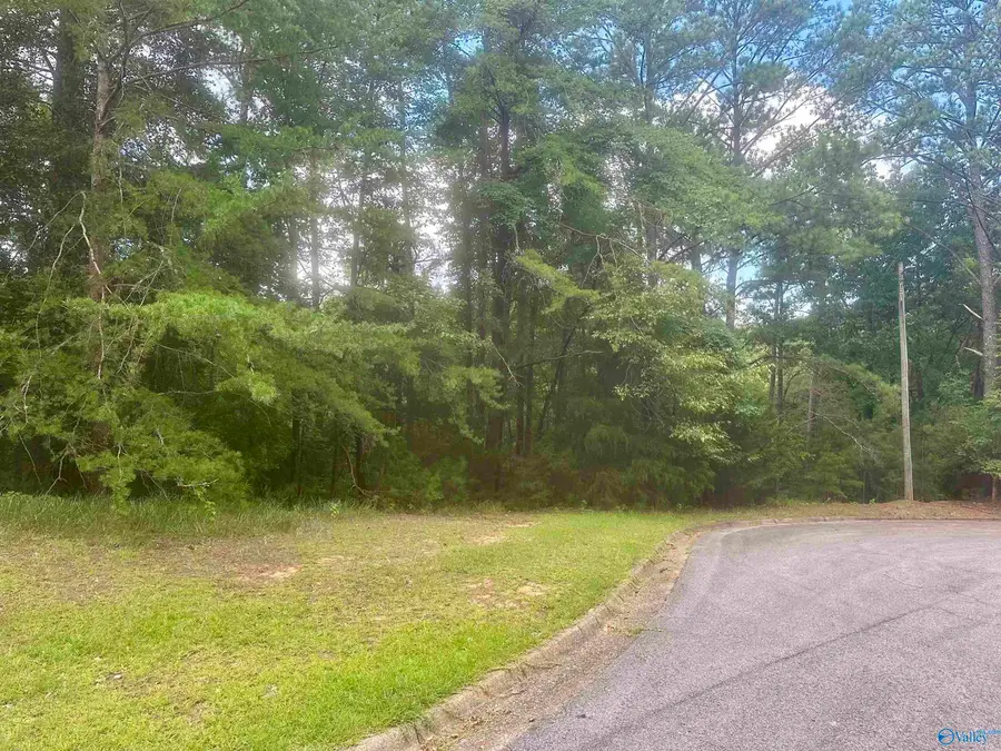 7909 Harbor Avenue Ne, Tuscaloosa, AL 35406 - #3