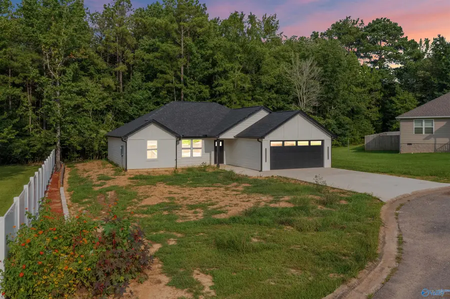 255 Audrey Lane, Centre, AL 35960 - #2