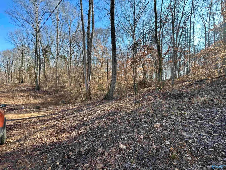 .53 Beech Fork Lane, Athens, AL 35611 - #2