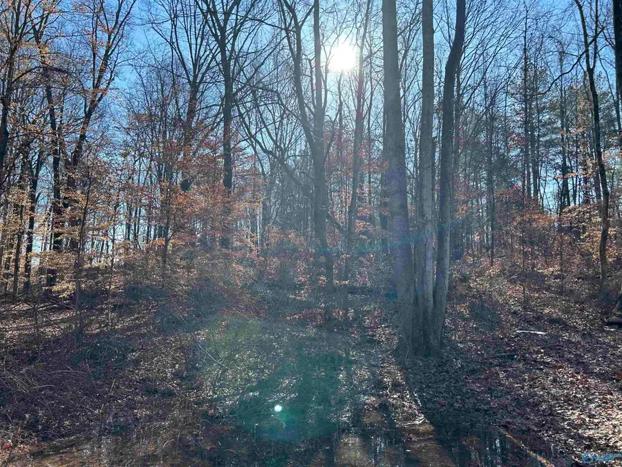 .53 Beech Fork Lane, Athens, AL 35611 - #3