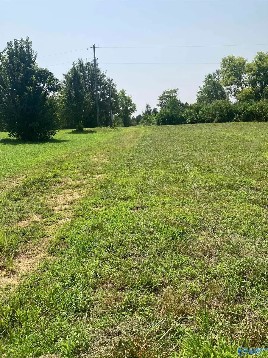 345 County Road 367, Pisgah, AL 35765 - #3